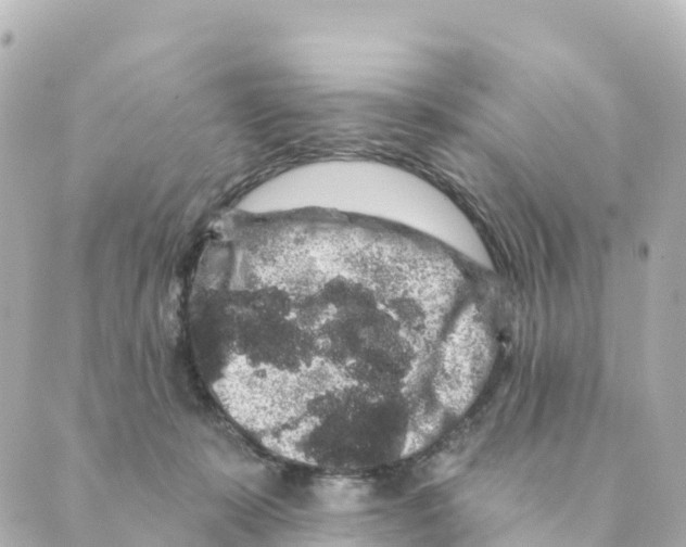 X0000088590319200706221347