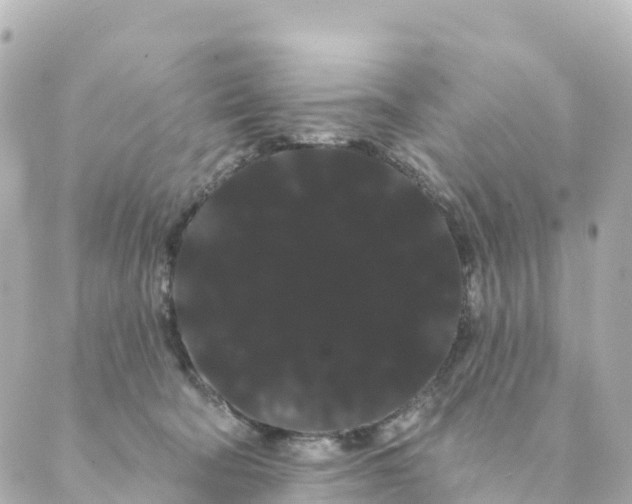 X0000088590322200706221347