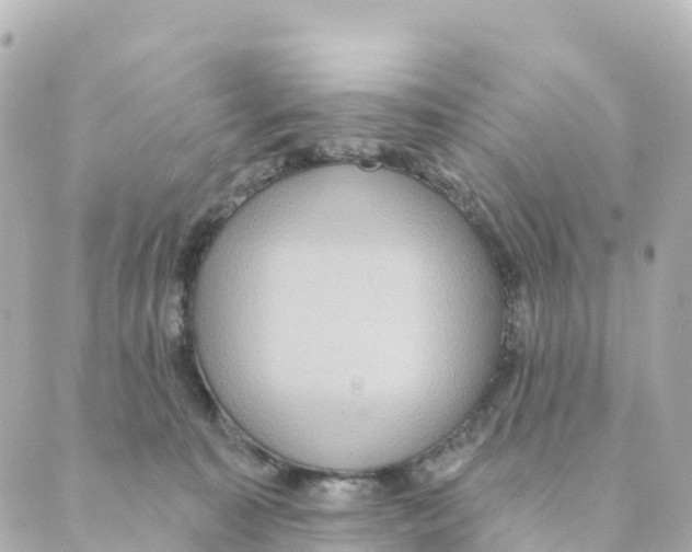 X0000088590323200706221347