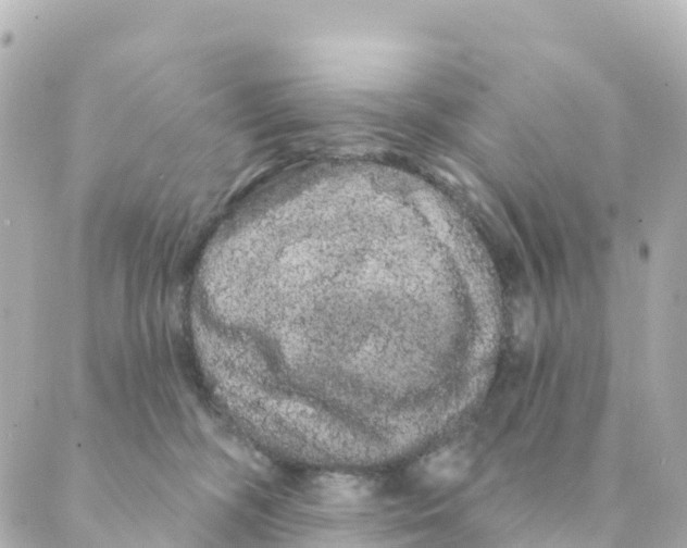 X0000088590326200706221347