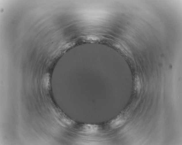 X0000088590328200706221347