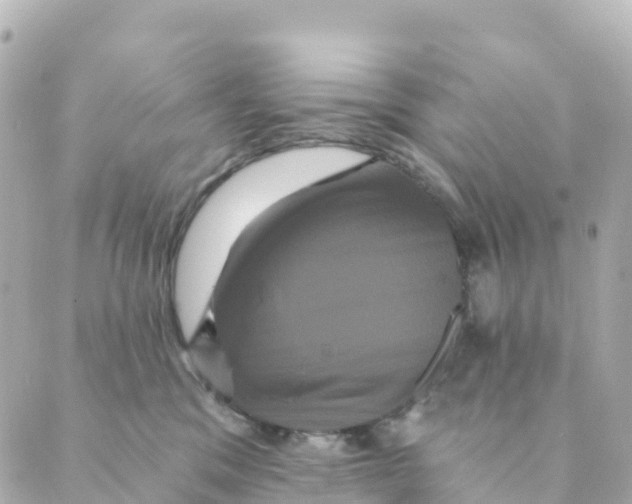 X0000088590329200706221347