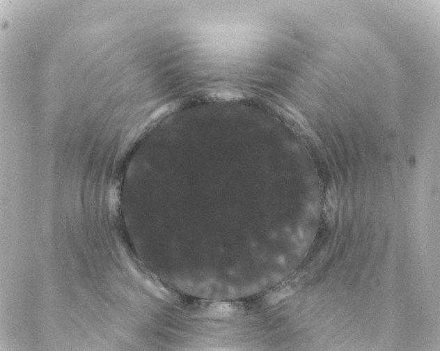 X0000088590330200706221347