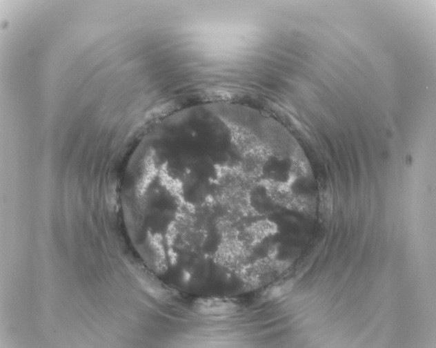 X0000088590331200706221347