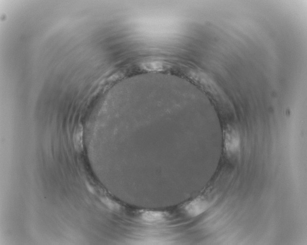 X0000088590332200706221347