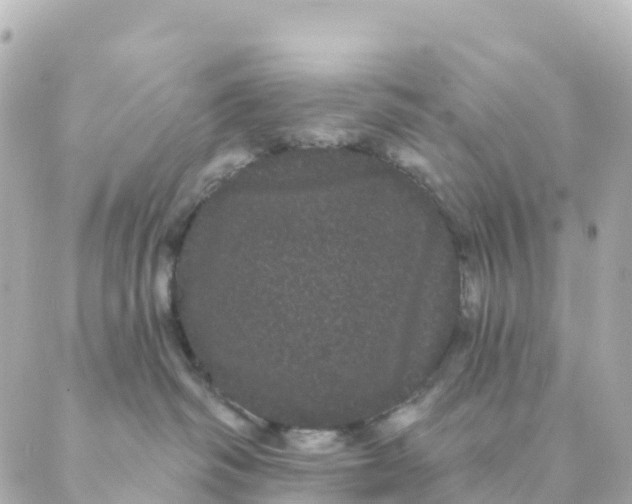 X0000088590334200706221347