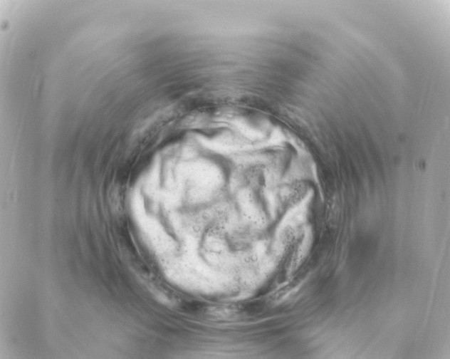 X0000088590335200706221347