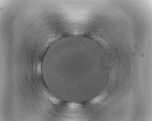 X0000088590336200706221347