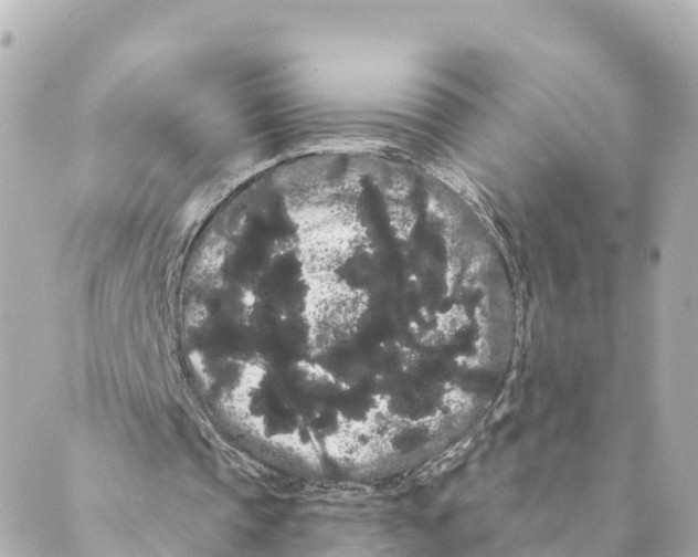 X0000088590337200706221346