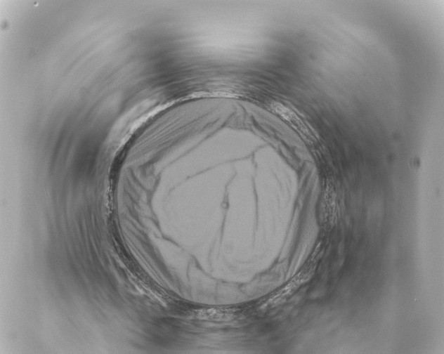 X0000088590338200706221346