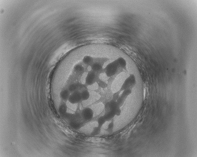 X0000088590339200706221346