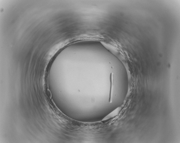 X0000088590340200706221346