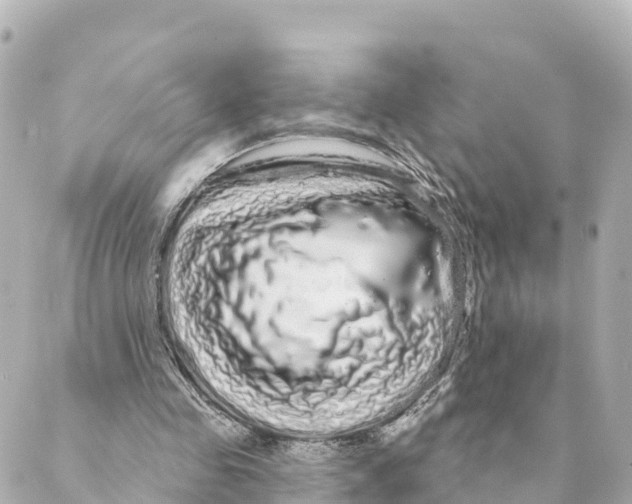 X0000088590341200706221346