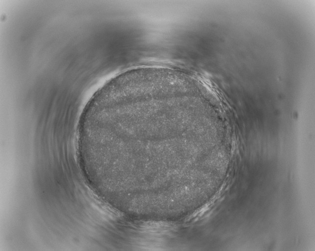 X0000088590342200706221346