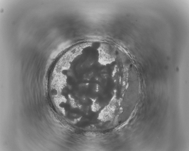 X0000088590343200706221346