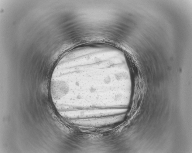 X0000088590345200706221346