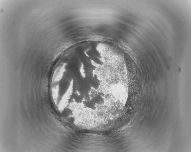 X0000088590347200706221346