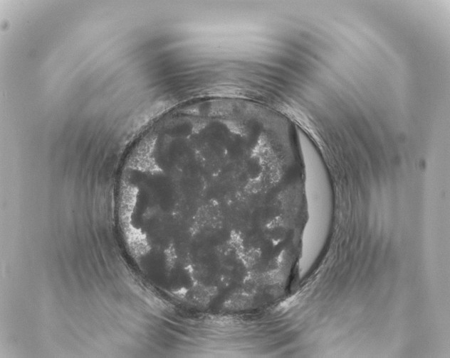 X0000088590349200706221346