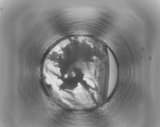 X0000088590351200706221346