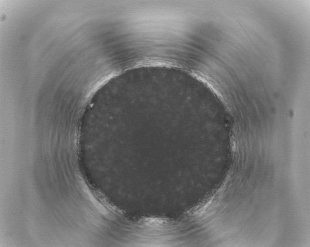 X0000088590352200706221346