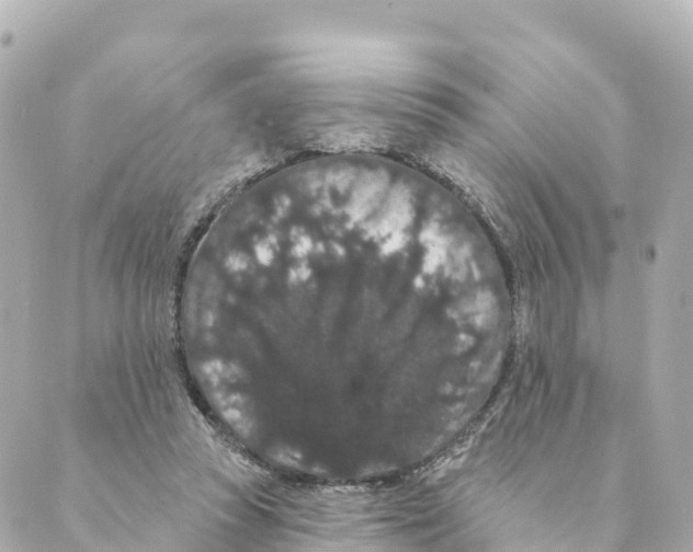 X0000088590353200706221346