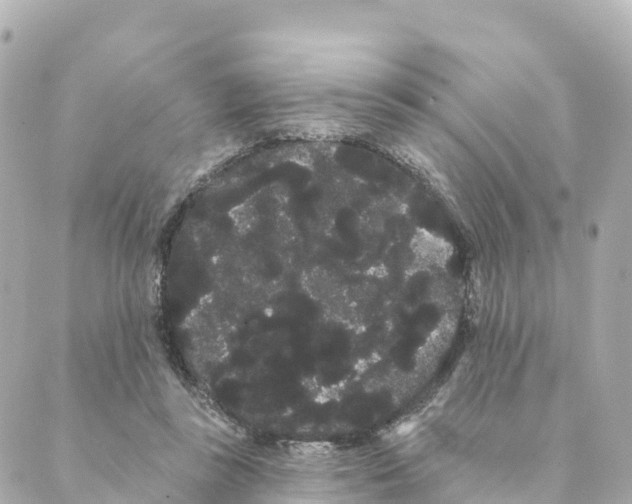 X0000088590355200706221347