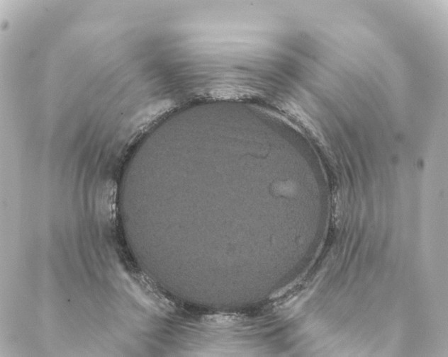 X0000088590356200706221347