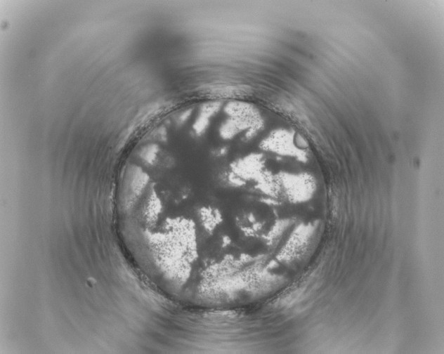 X0000088590357200706221347