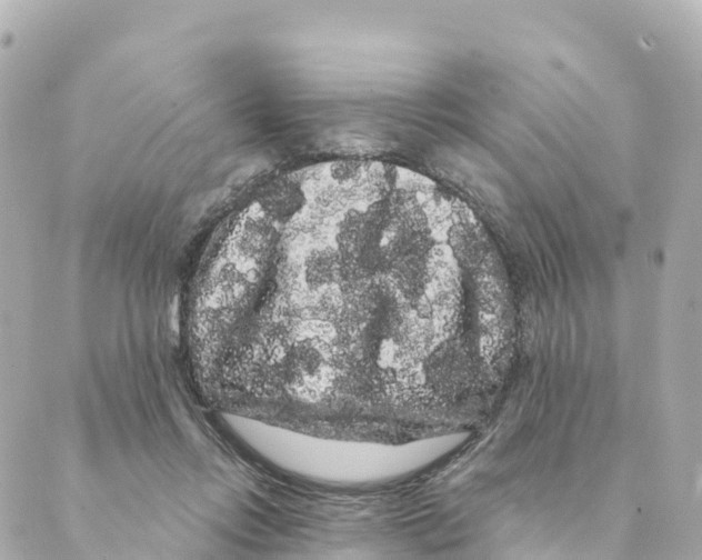 X0000088590358200706221347