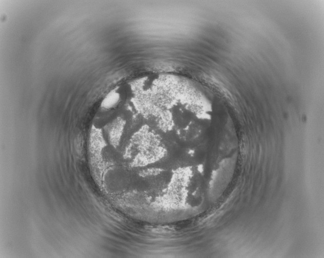 X0000088590359200706221347