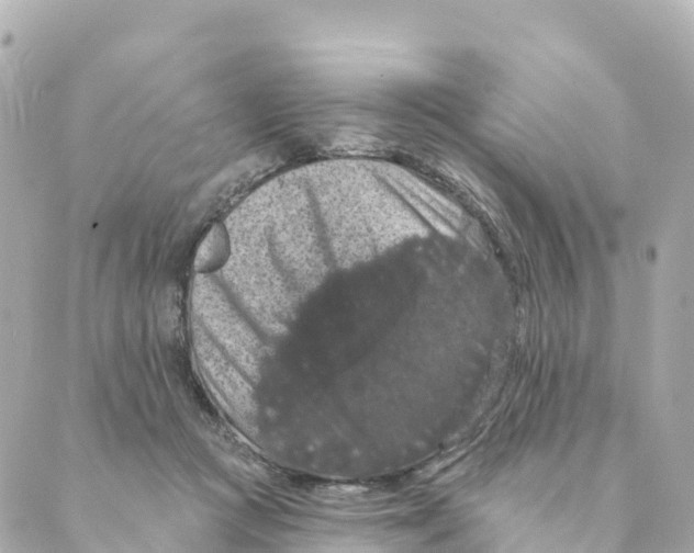 X0000088590361200706221347