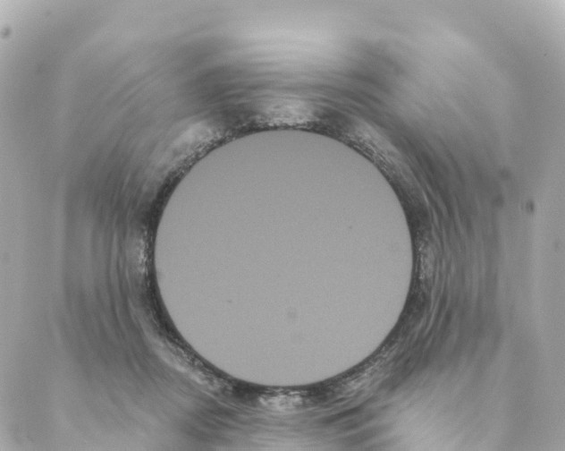 X0000088590362200706221347