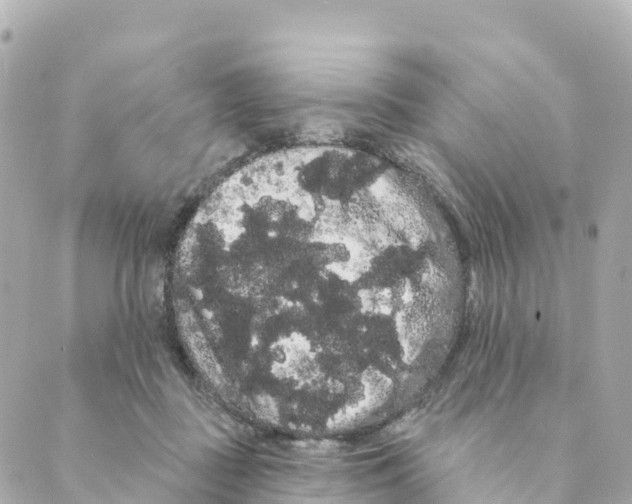 X0000088590363200706221347