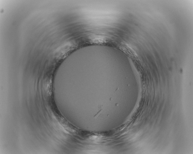 X0000088590364200706221347