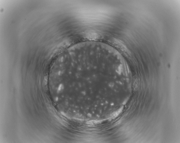 X0000088590365200706221347