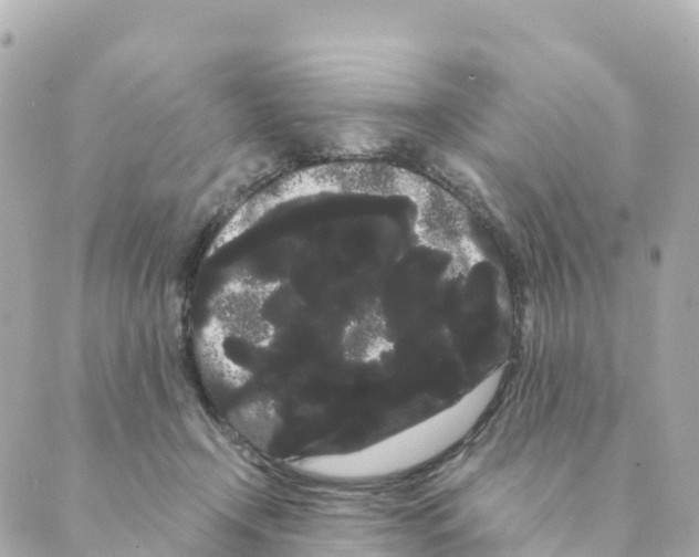 X0000088590366200706221347