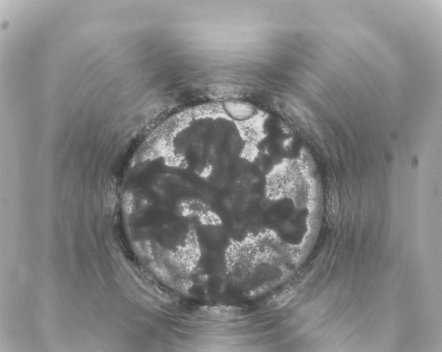 X0000088590367200706221347