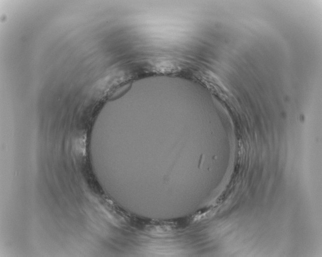 X0000088590368200706221347