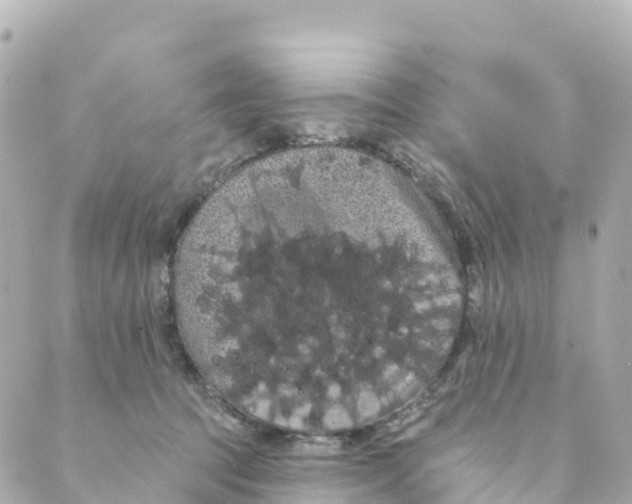 X0000088590369200706221347