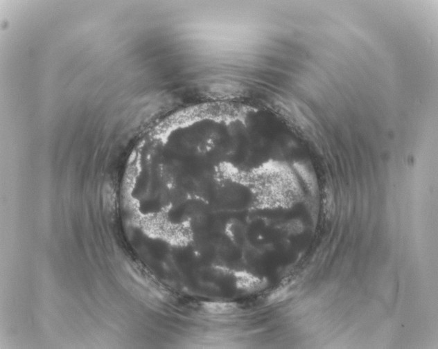 X0000088590371200706221347