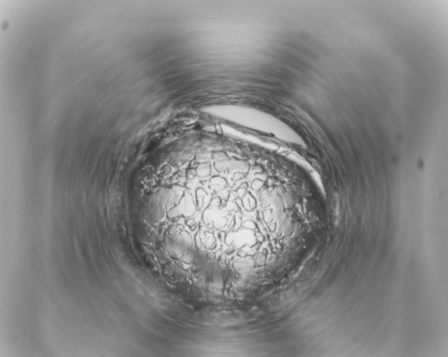 X0000088590372200706221347