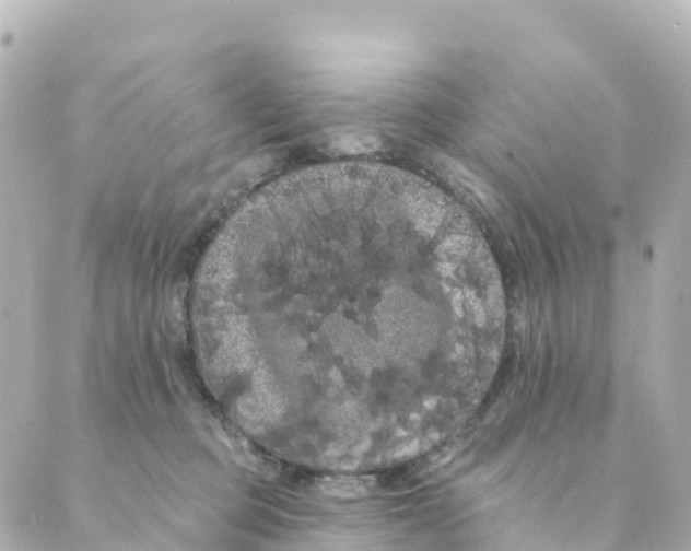 X0000088590373200706221347