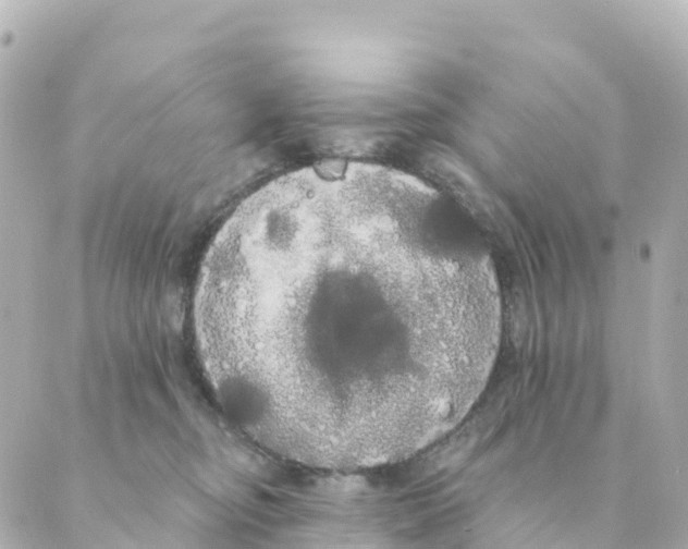 X0000088590374200706221347