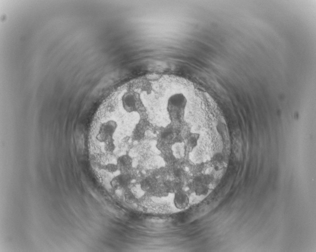 X0000088590375200706221347