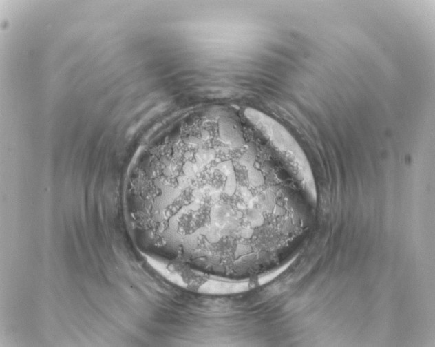 X0000088590376200706221347