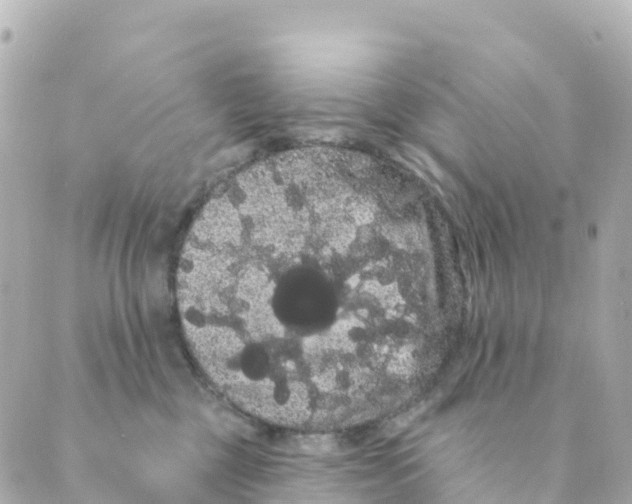 X0000088590377200706221347