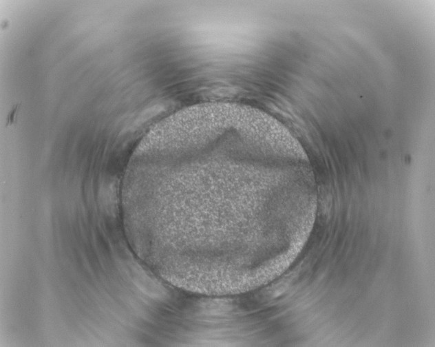 X0000088590378200706221347