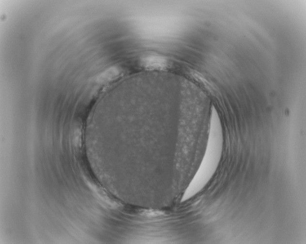 X0000088590379200706221347