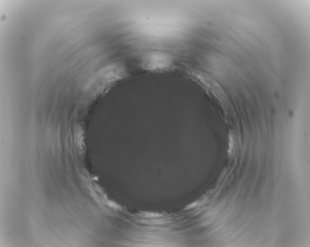 X0000088590380200706221347