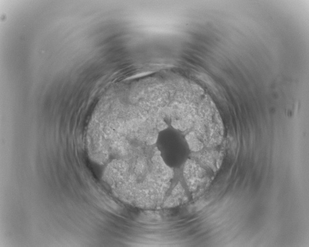 X0000088590381200706221347